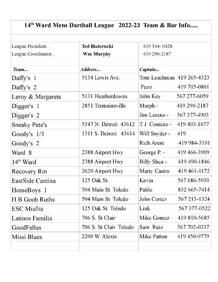 Toledo Dartball 201516